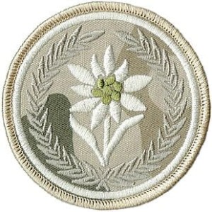21 Brygada Strzelców Podhalańskich szarotka 21BSP naszywka polowa pustynna