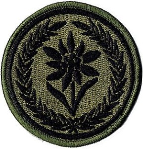 21 Brygada Strzelców Podhalańskich szarotka 21BSP naszywka polowa khaki