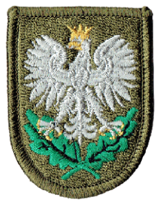 Orzełek na czapkę leśnika NASZYWKA 2128