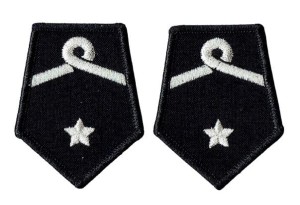 Członek OSP ZOSP dystynkcje patki galowe OSP
