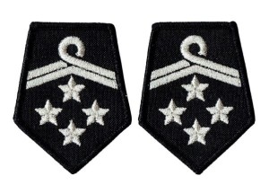 Zarząd Gminny ZOSP dystynkcje patki galowe OSP