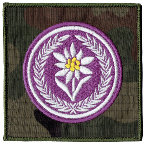 322e12fb84323ac56c5ff9154161f5c9
