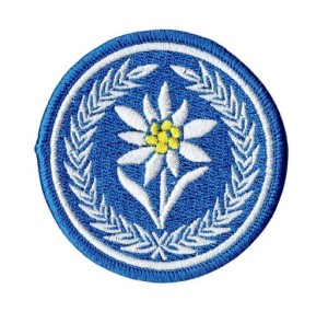 21 Dywizjon Artylerii Przeciwlotniczej szarotka 21BSP naszywka na mundur