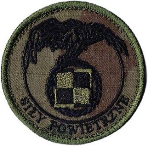 SIŁY POWIETRZNE oznaka rozpoznawcza WZ2010 US-22