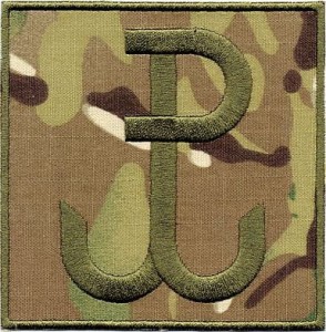 Polska Walcząca PW multicam NASZYWKA 586R