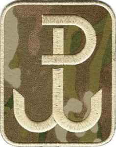 Polska Walcząca PW multicam NASZYWKA 570R