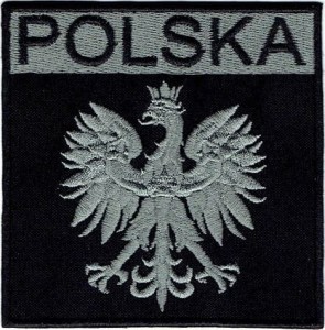 Godło RP Polska naszywka haftowana czarna 94x94 mm wersja szara rzep