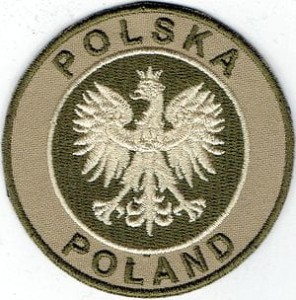 GODŁO Orzeł Polska POLAND piaskowy NASZYWKA  639R