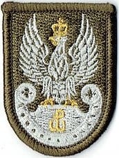 Orzełek WOT na beret oliwkowy Naszywka 1501