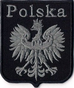 GODŁO ORZEŁ POLSKA NASZYWKA 89R