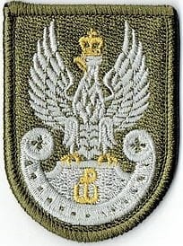 Orzełek WOT na beret oliwkowy NASZYWKA 1439