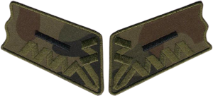 Patki ZS STRZELEC Starszy Strzelec NASZYWKA 395