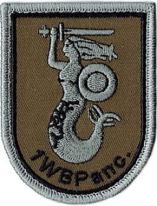 1 Warszawska Brygada Pancerna naszywka polowa 1WBPanc. rzep