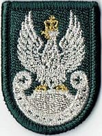 Orzełek WP na beret tłoczony zielony NASZYWKA 1400