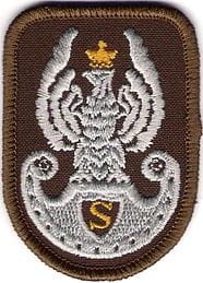 Orzełek ZS Strzelec BRĄZOWY NASZYWKA 391