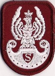 Orzełek ZS Strzelec BORDOWY NASZYWKA 384