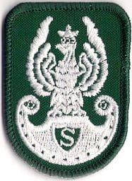 Orzełek ZS Strzelec ZIELONY NASZYWKA 382