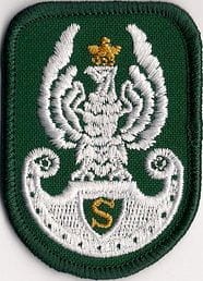 Orzełek ZS Strzelec ZIELONY NA BERET NASZYWKA 381