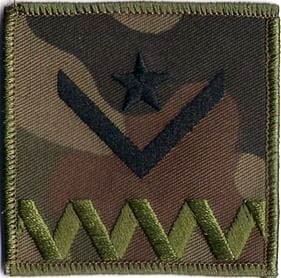 Stopień Młodszy Chorąży ZS Strzelec NASZYWKA 360R