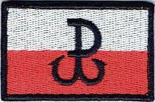 Polska Walcząca Flaga PW 55x35mm NASZYWKA 1397R
