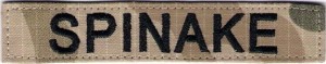 NAME PATCH pustynny WZ 2010 Imiennik NASZYWKA 489R