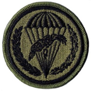 6 Brygada Powietrznodesantowa oznaka rozpoznawcza 6BPD naszywka polowa rzep