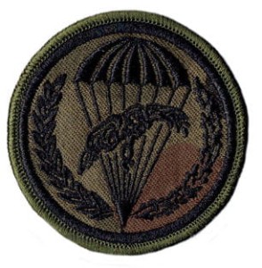 6 Brygada Powietrznodesantowa oznaka rozpoznawcza 6BPD naszywka wz93 rzep
