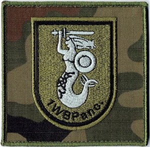 1 Warszawska Brygada Pancerna naszywka polowa 1WBPanc. US-22 rzep