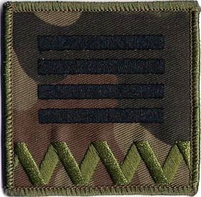 Stopień Plutonowy ZS STRZELEC NASZYWKA 356R