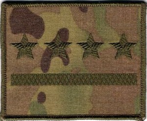 Dystynkcja WP multicam US-22 stopień Kapitan
