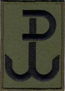 Polska Walcząca PW 55x80mm NASZYWKA 180R