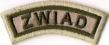 Łuczek ZWIAD multicam NASZYWKA 110R