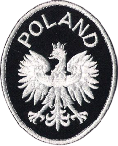 Orzełek Godło RP POLAND NASZYWKA 96R