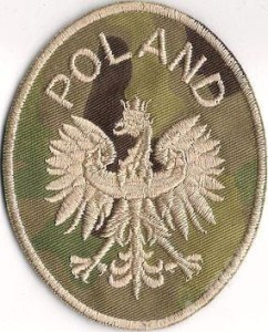 Godło RP Owal multicam  NASZYWKA 95R