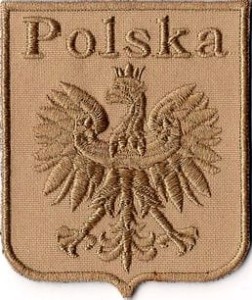 GODŁO ORZEŁ POLSKA NASZYWKA 90