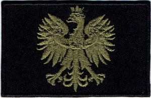GODŁO Orzełek khaki NASZYWKA 459R