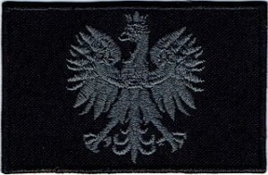 GODŁO Orzełek szary NASZYWKA 456R