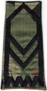 Pagon ZS Strzelec US-21 Starszy Sierżant 2232