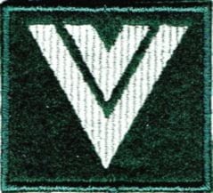 STARSZY SIERŻANT na beret zielony NASZYWKA 2271
