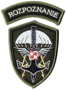 ROZPOZNANIE wyjsciowa NASZYWKA 2317R