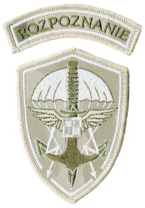 ROZPOZNANIE pustynna NASZYWKA 2321R