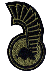 11 Lubuska Dywizja Kawalerii Panc. NASZYWKA 2407