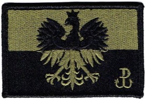 Polska flaga z godłem znak PW kolory maskujące naszywka rzep