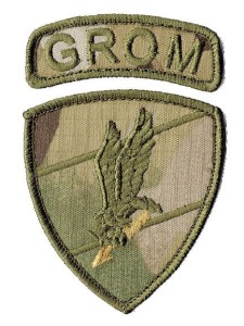 JW 2305 GROM oznaka rozpoznawcza naszywka polowa multicam rzep