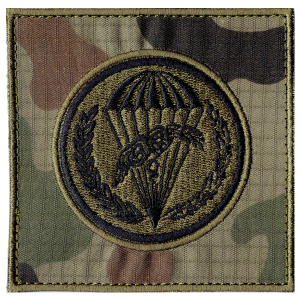 6 Brygada Powietrznodesantowa wz2010 NASZYWKA 2539R