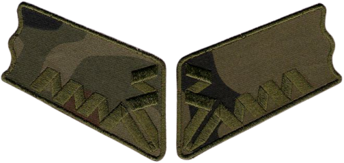 6ace7b2cf009223b4b94bd76fa55adb2