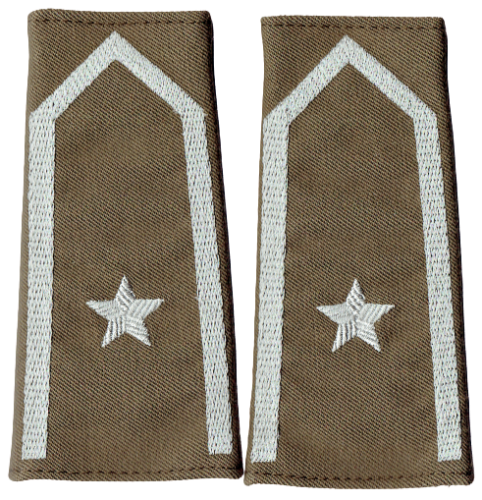 ac58e0f7d8105fb1f7811347dcab85d2