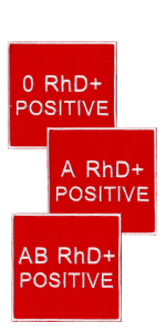 GRUPA KRWI czerwona NASZYWKA 1051R