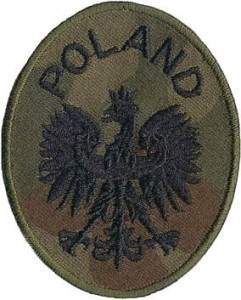 GODŁO Owal POLAND wz93 NASZYWKA 97R