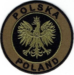 Godło RP POLSKA POLAND olive brown NASZYWKA 605R